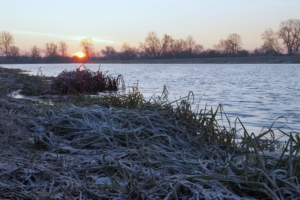 lake frost hoarfrost grass dawn 4k 1541114769