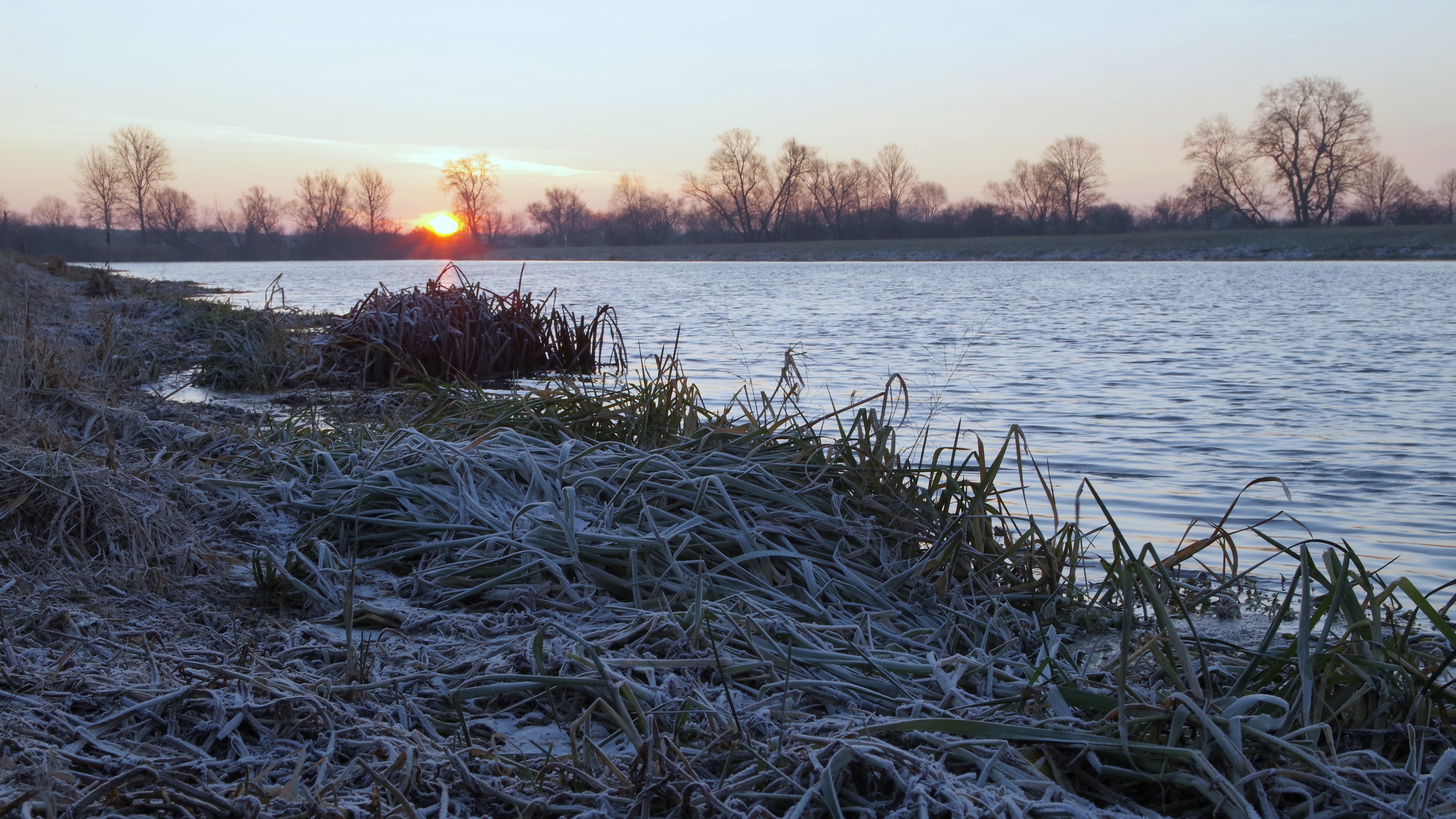 lake frost hoarfrost grass dawn 4k 1541114769