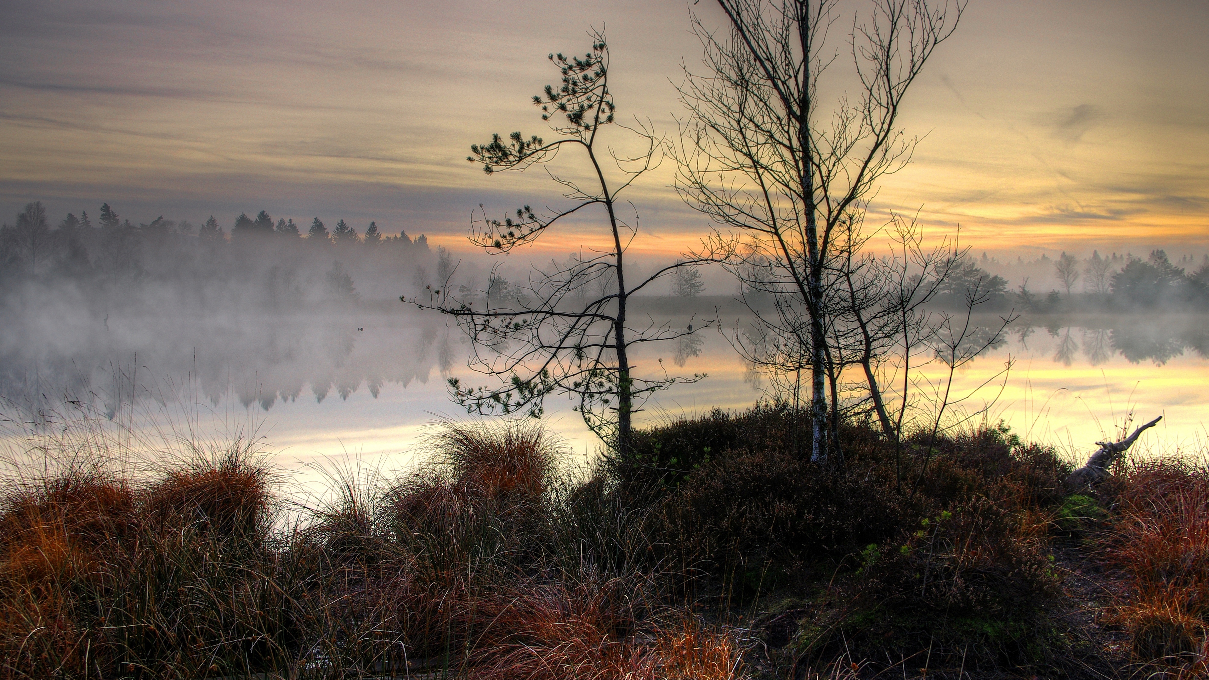 lake sunset fog trees landscape 4k 1541114437