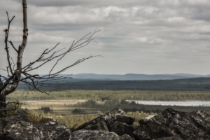 lapland stones wood 4k 1541117725