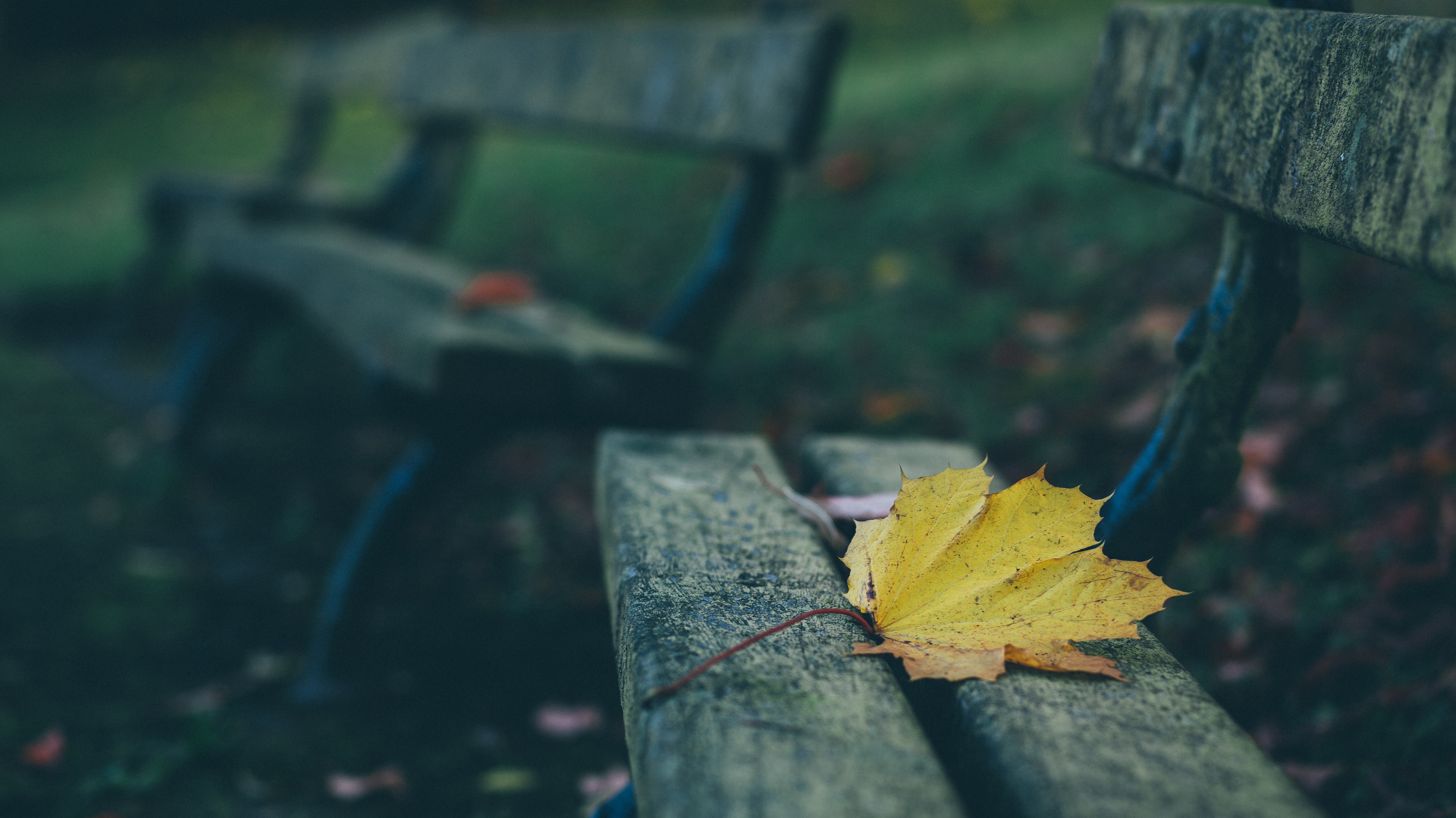 leaves autumn bench 4k 1541116271