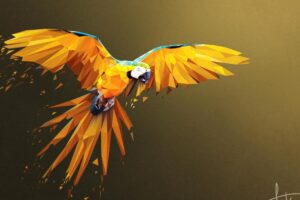 macaw low poly digital art 4k 1541970330