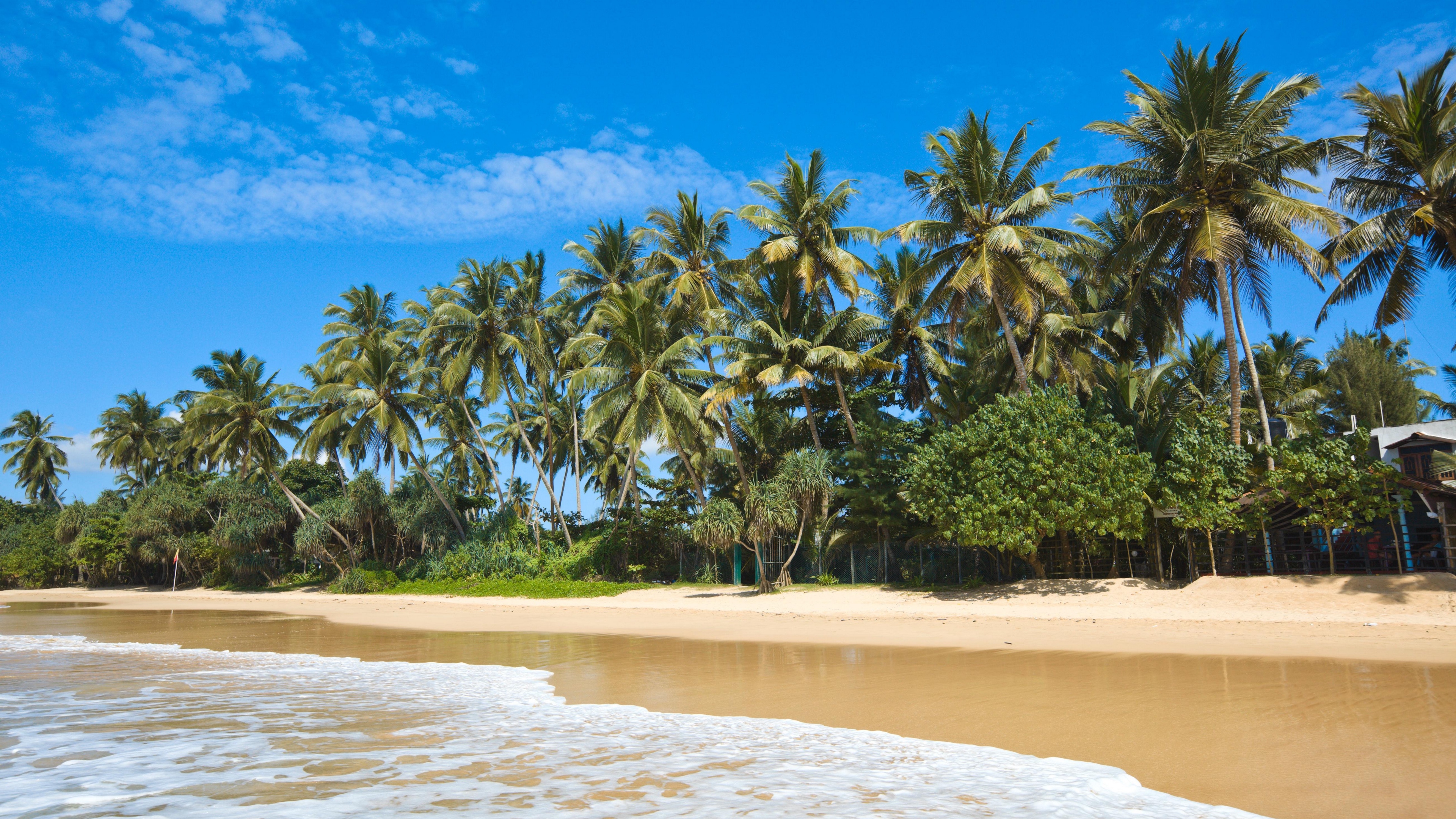 maldives tropical beach palm trees 4k 1541114219