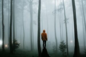 man fog loneliness forest trees 4k 1541116655