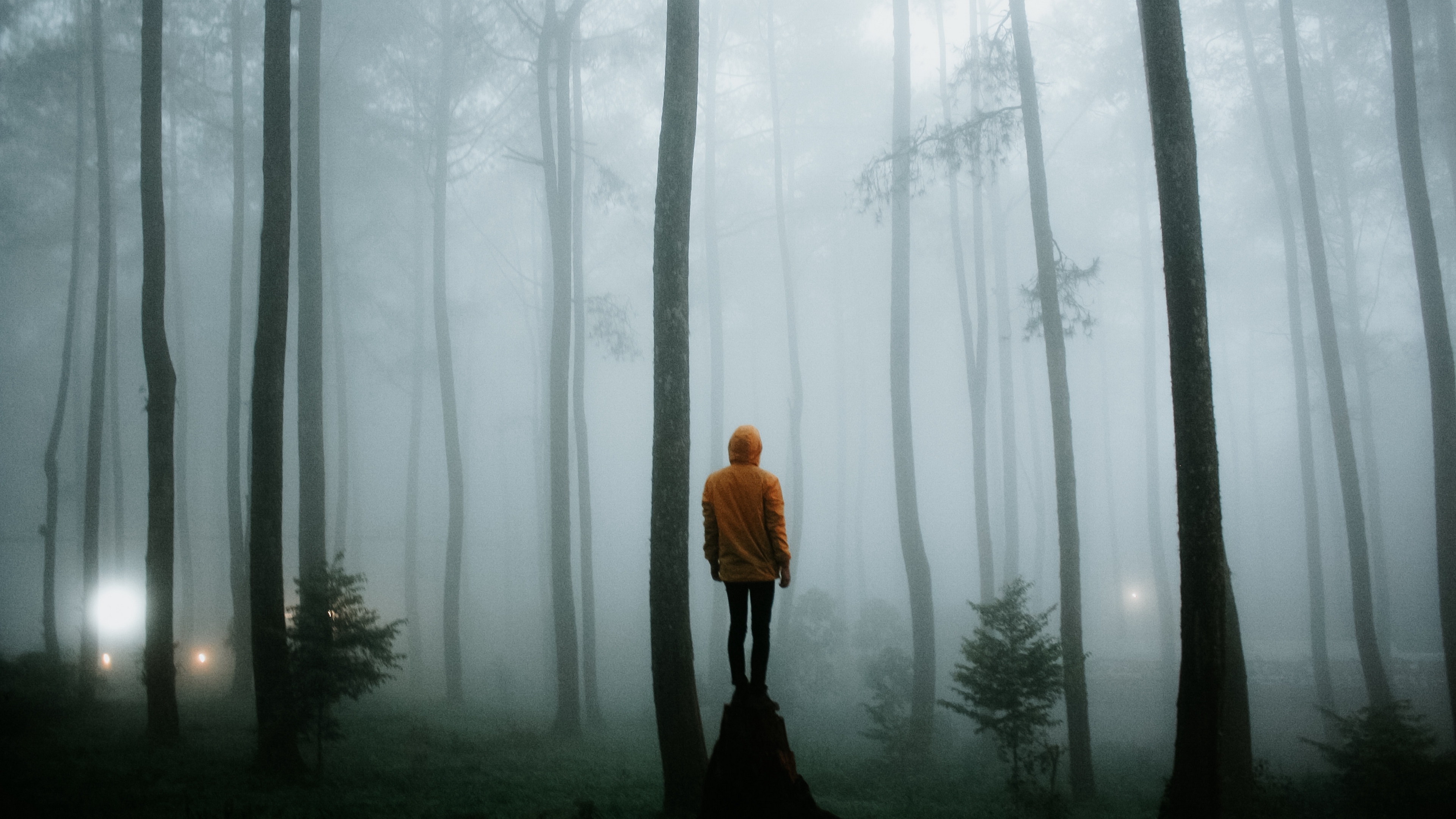 man fog loneliness forest trees 4k 1541116655