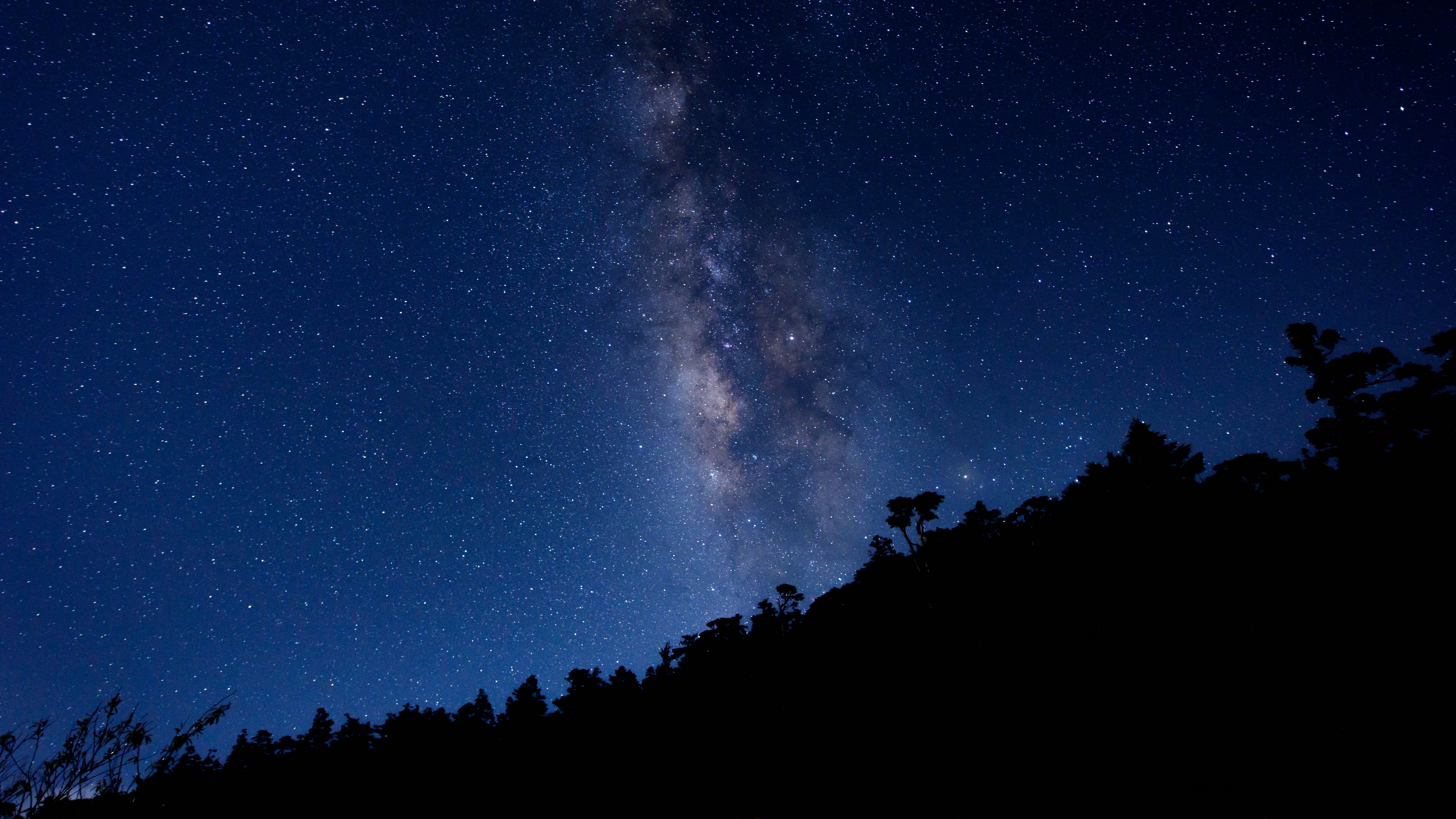 milky way starry sky trees 4k 1541116804