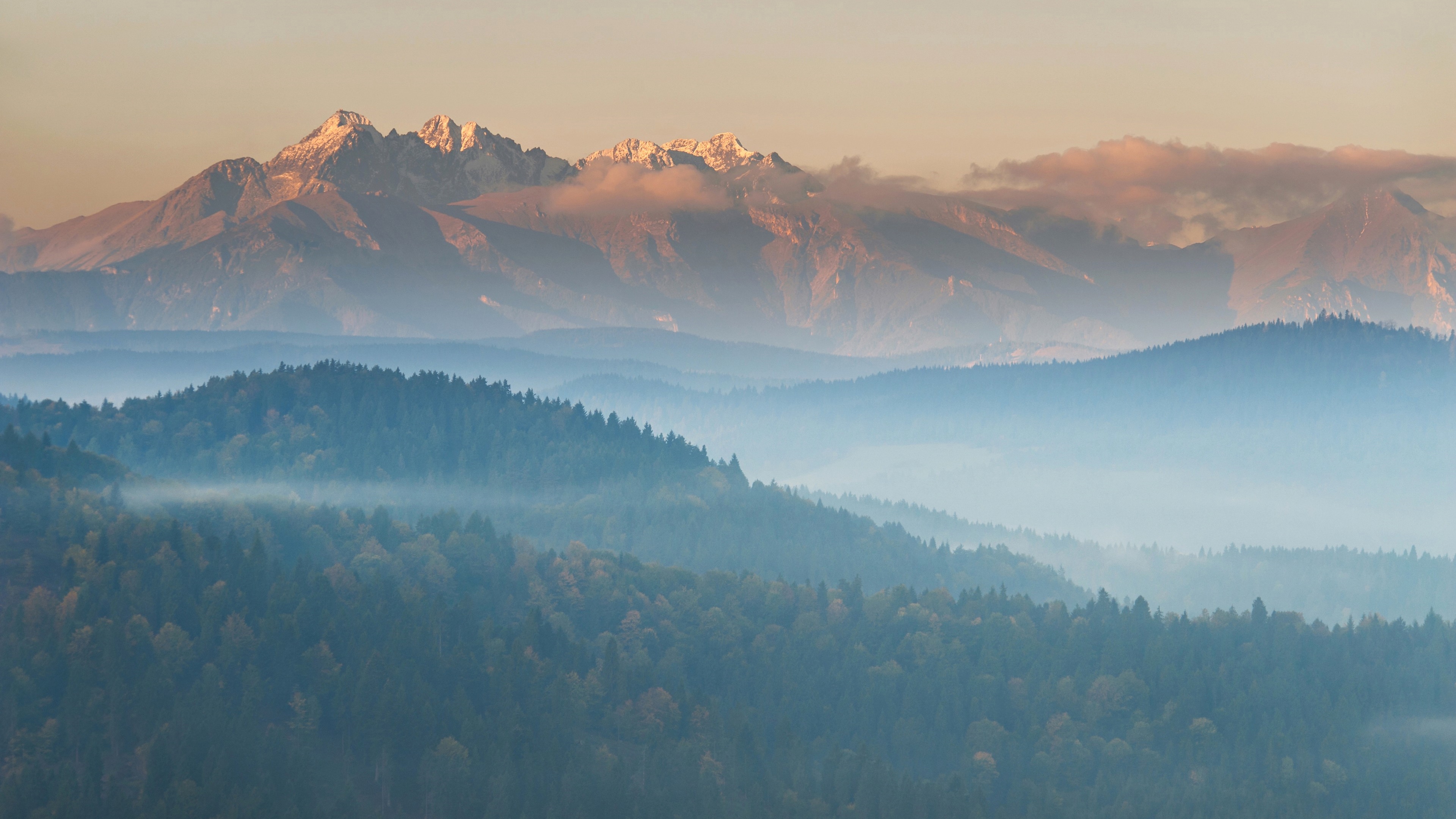 mountains fog top view trees 4k 1541114416