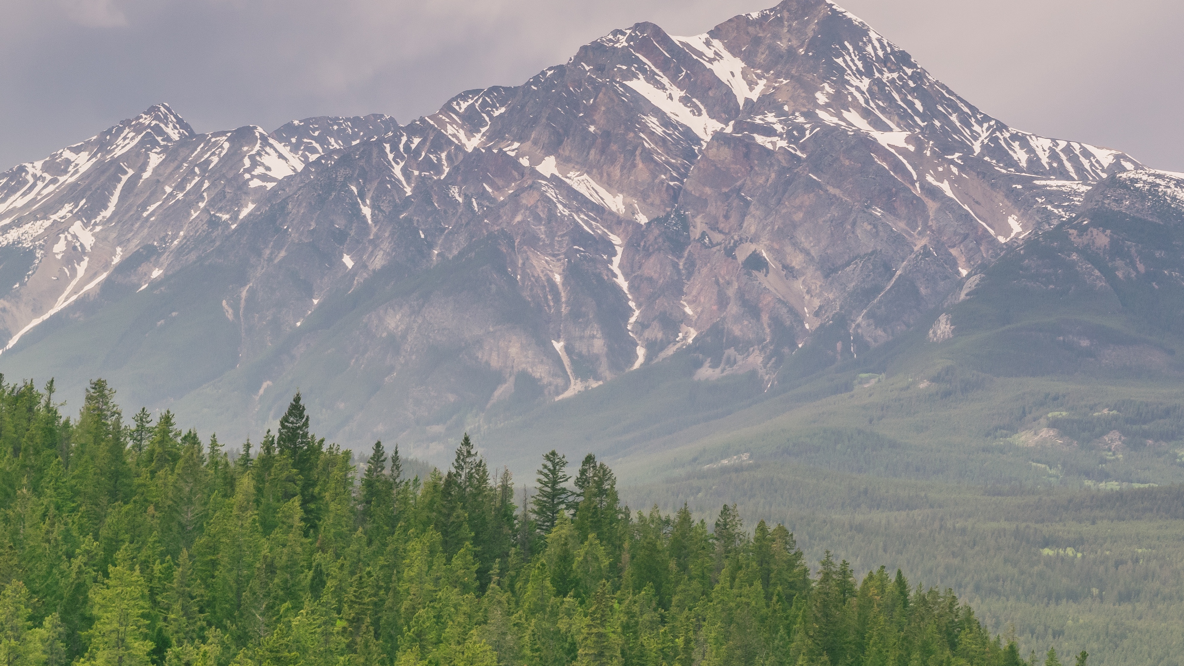 mountains hills distance trees 4k 1541117496