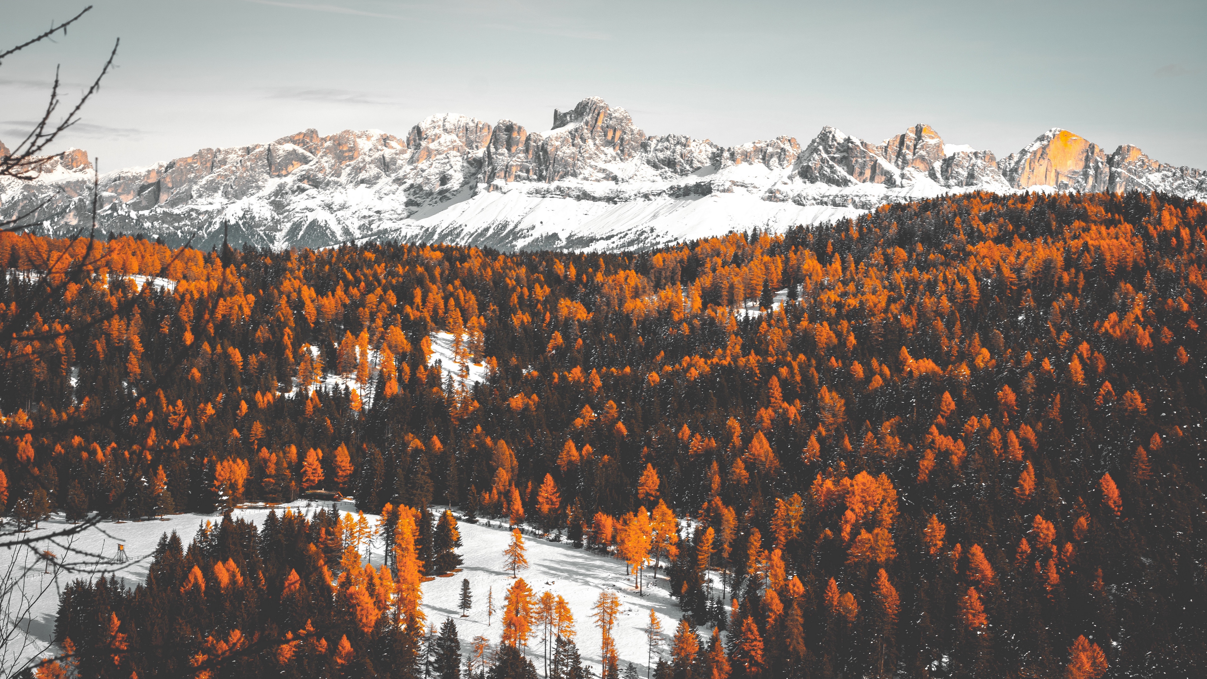 mountains trees snow winter 4k 1541117774