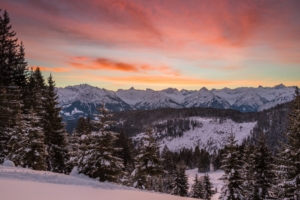 mountains winter snow fir trees trees hills 4k 1541113530