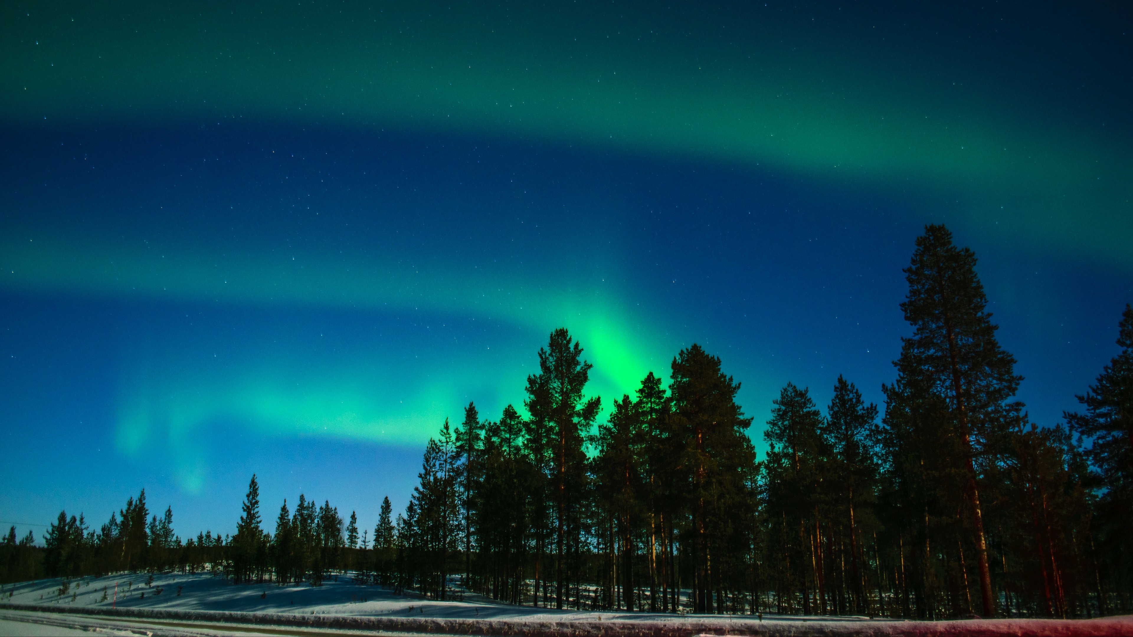 northern lights aurora trees light phenomenon lapland 4k 1541116055