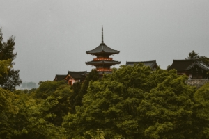 pagoda trees architecture kyoto prefecture japan 4k 1541115425