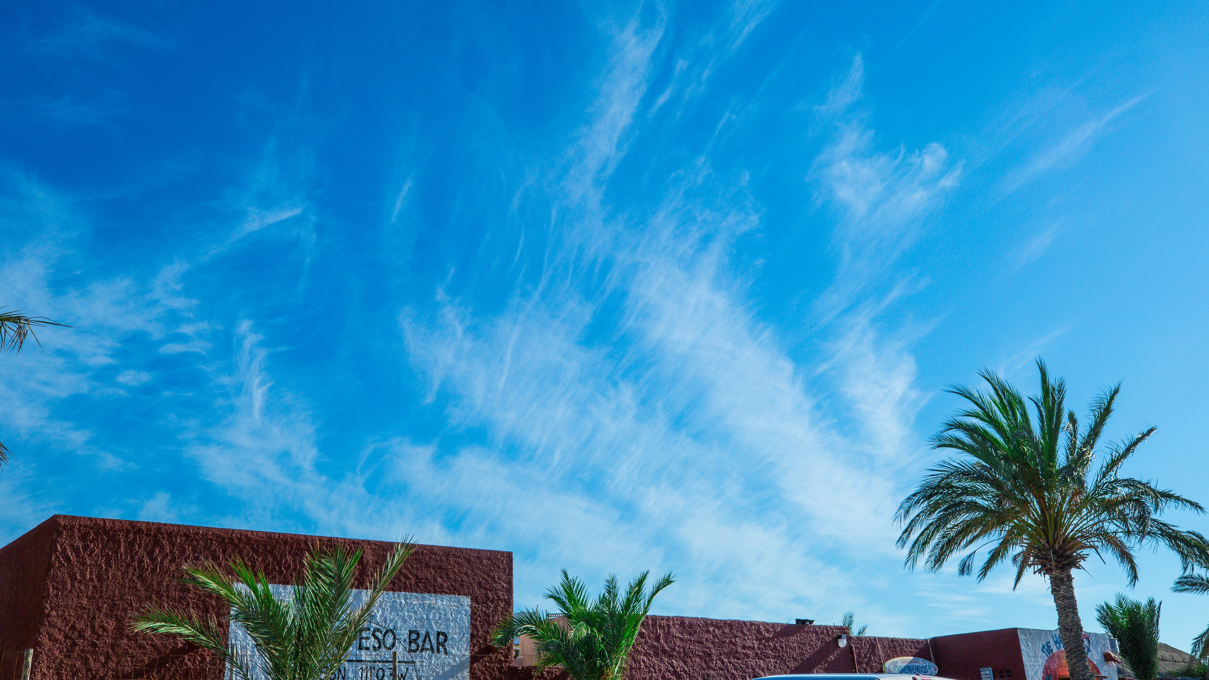 palm tree sky summer 4k 1541116446