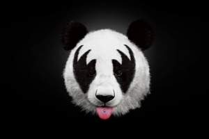 panda 4k artwork 1542238301