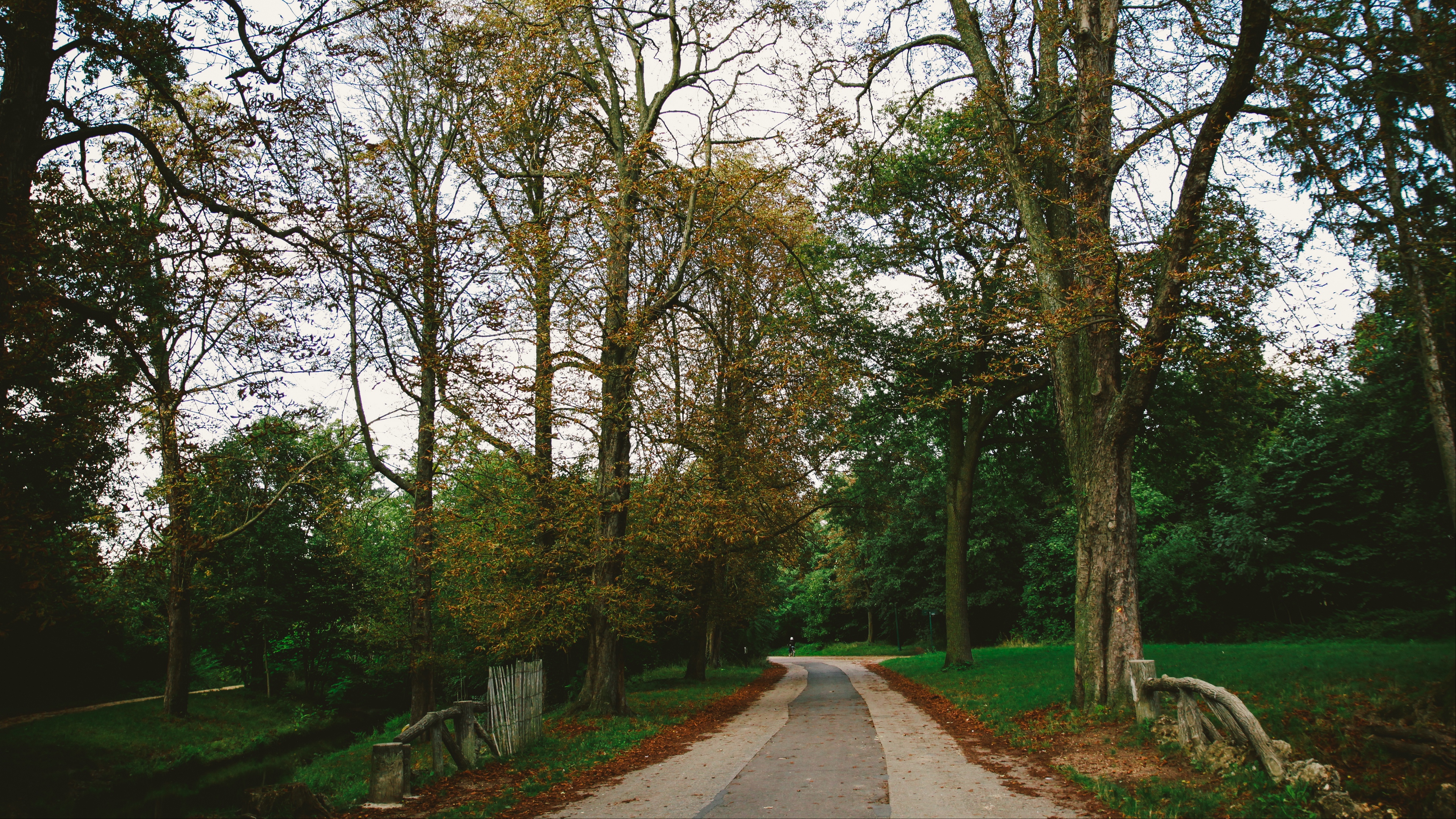 park path autumn trees paris 4k 1541117180