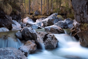 river forest rocks nature 4k 1541114370