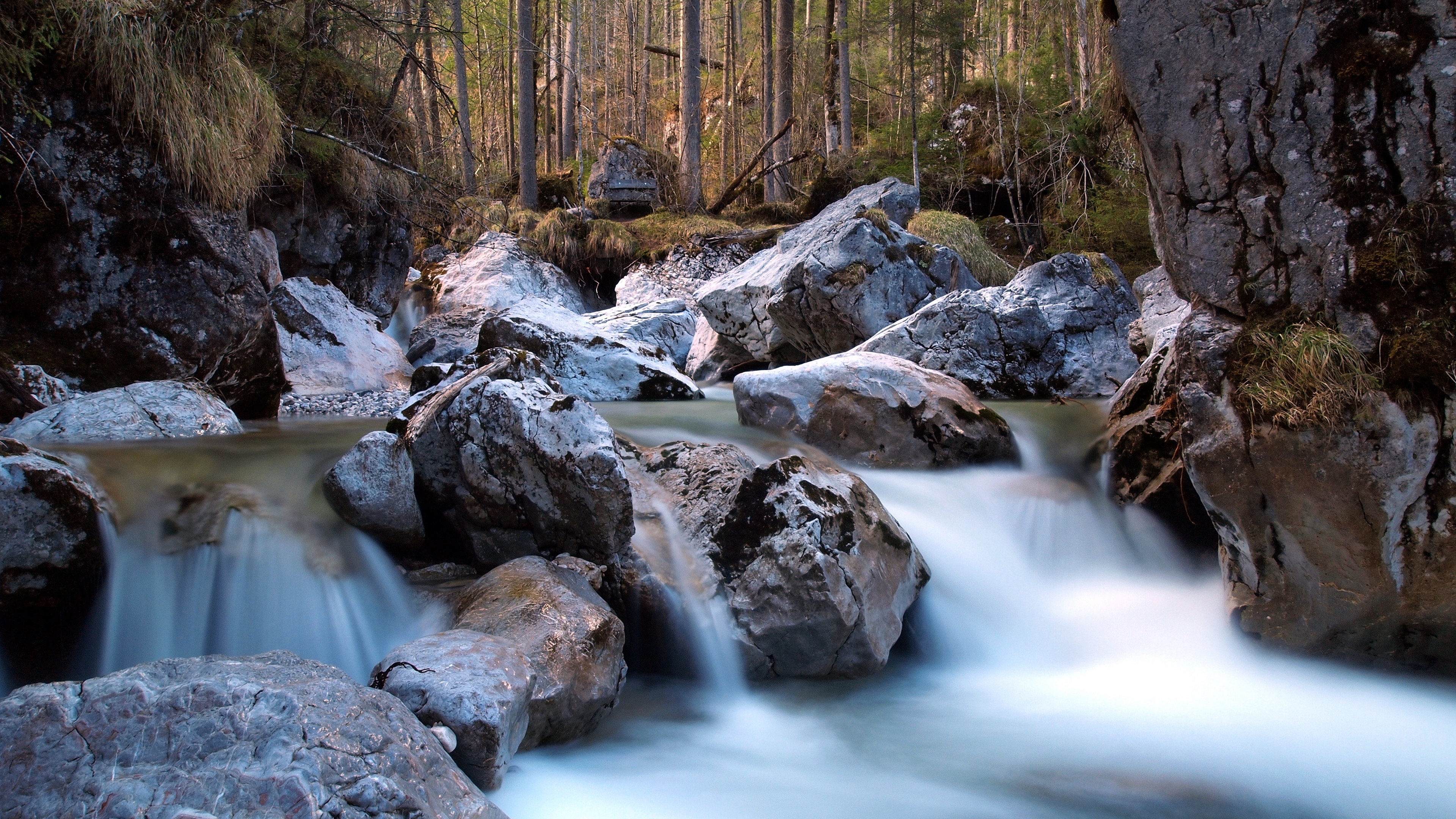 river forest rocks nature 4k 1541114370