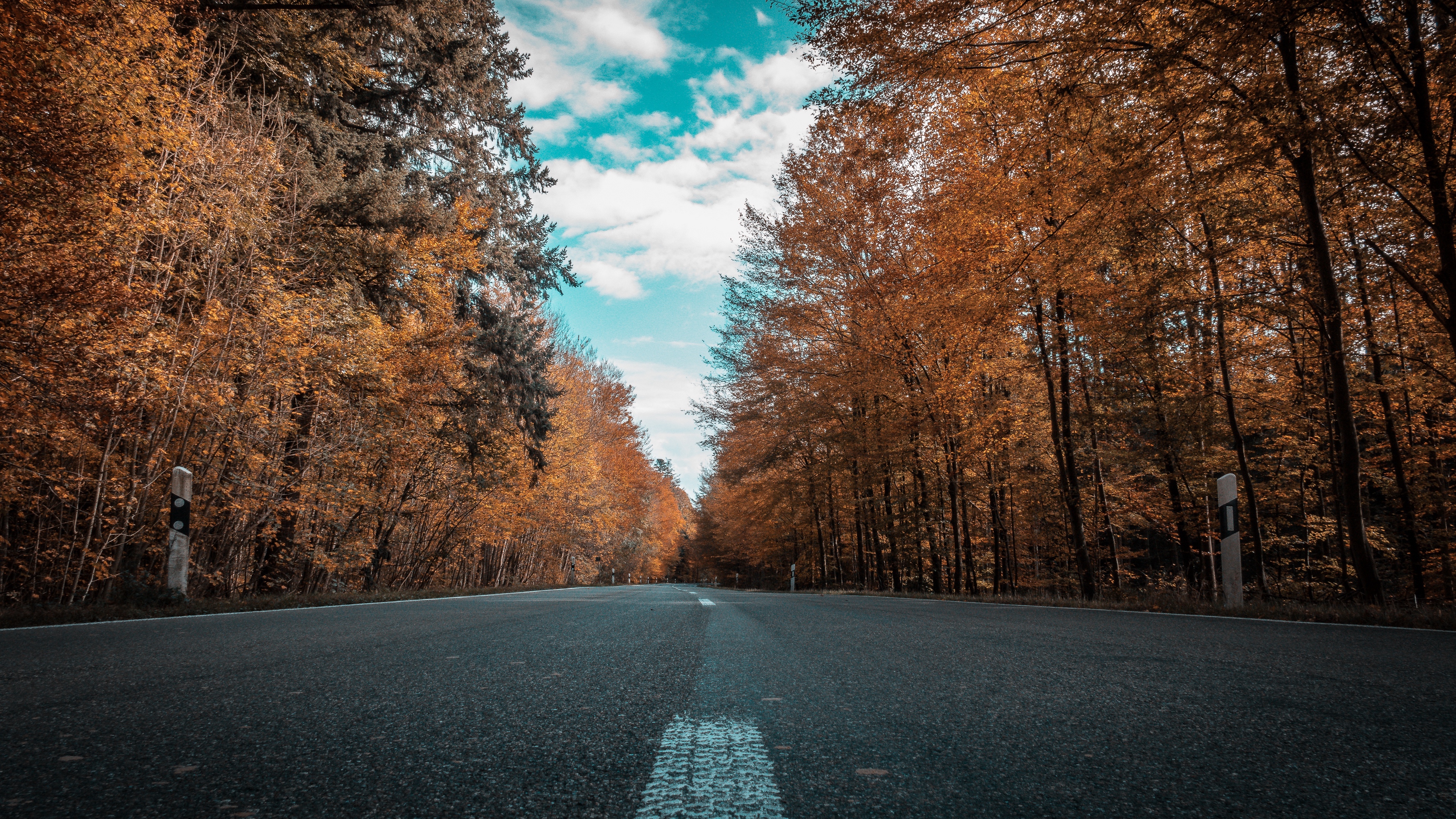 road autumn trees 4k 1541114357