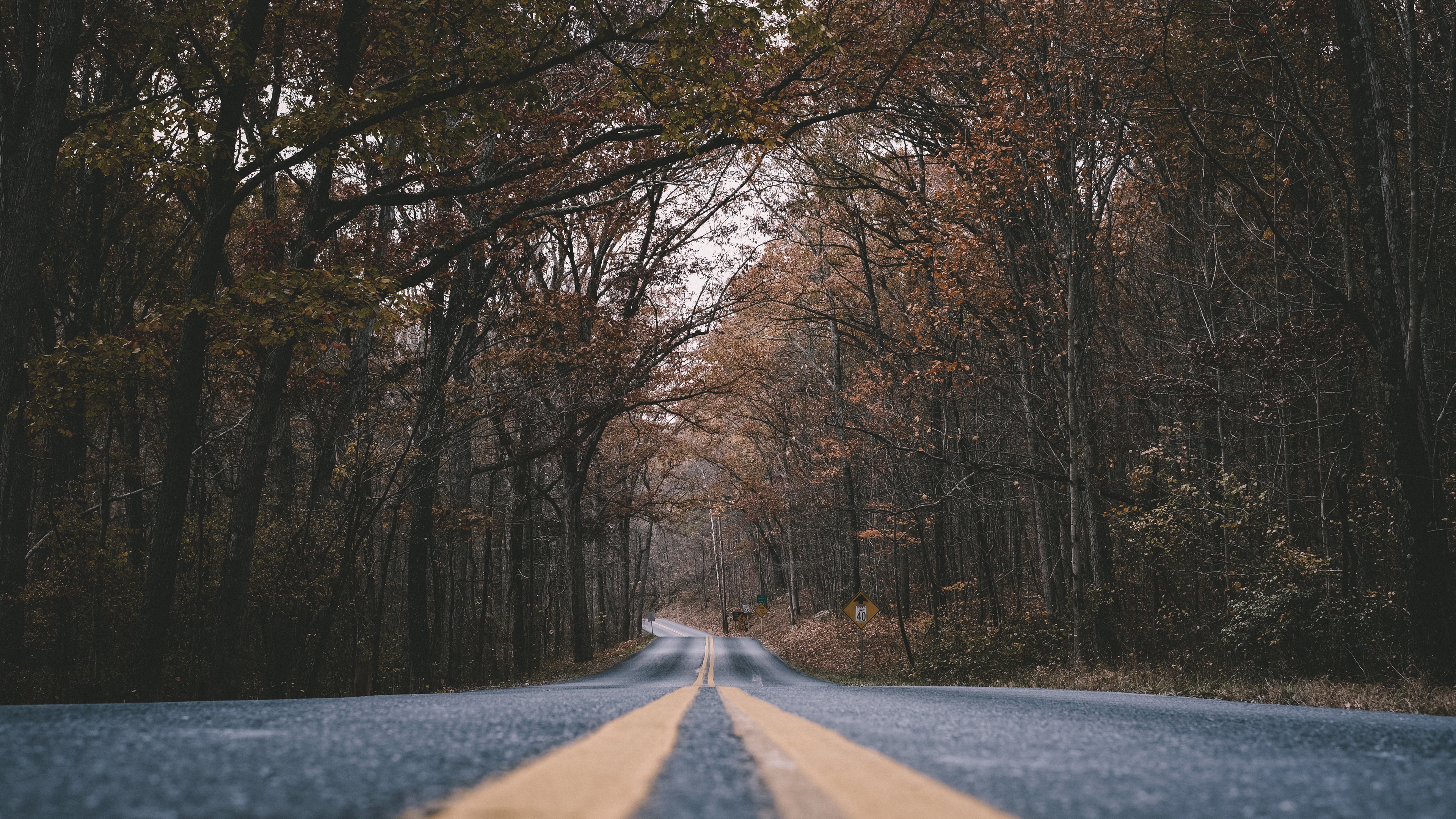 road marking trees turn 4k 1541116889