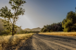 road trees mountains sunlight 4k 1541117423