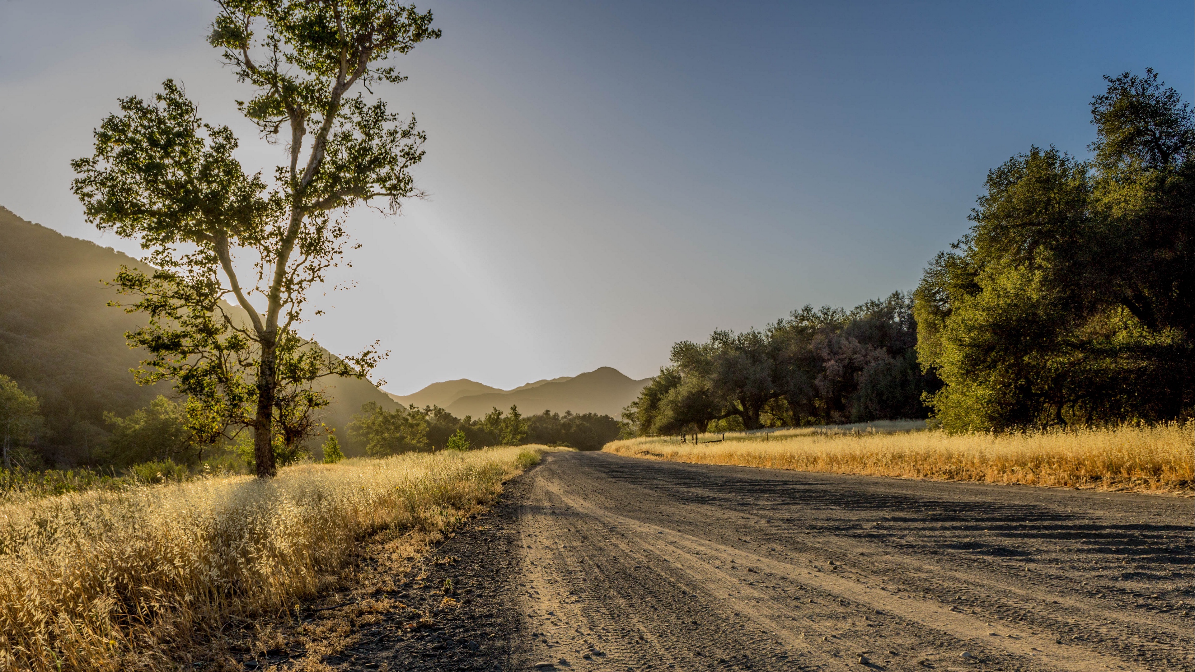 road trees mountains sunlight 4k 1541117423