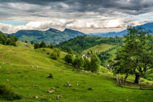 romania field grass meadow 4k 1541117534