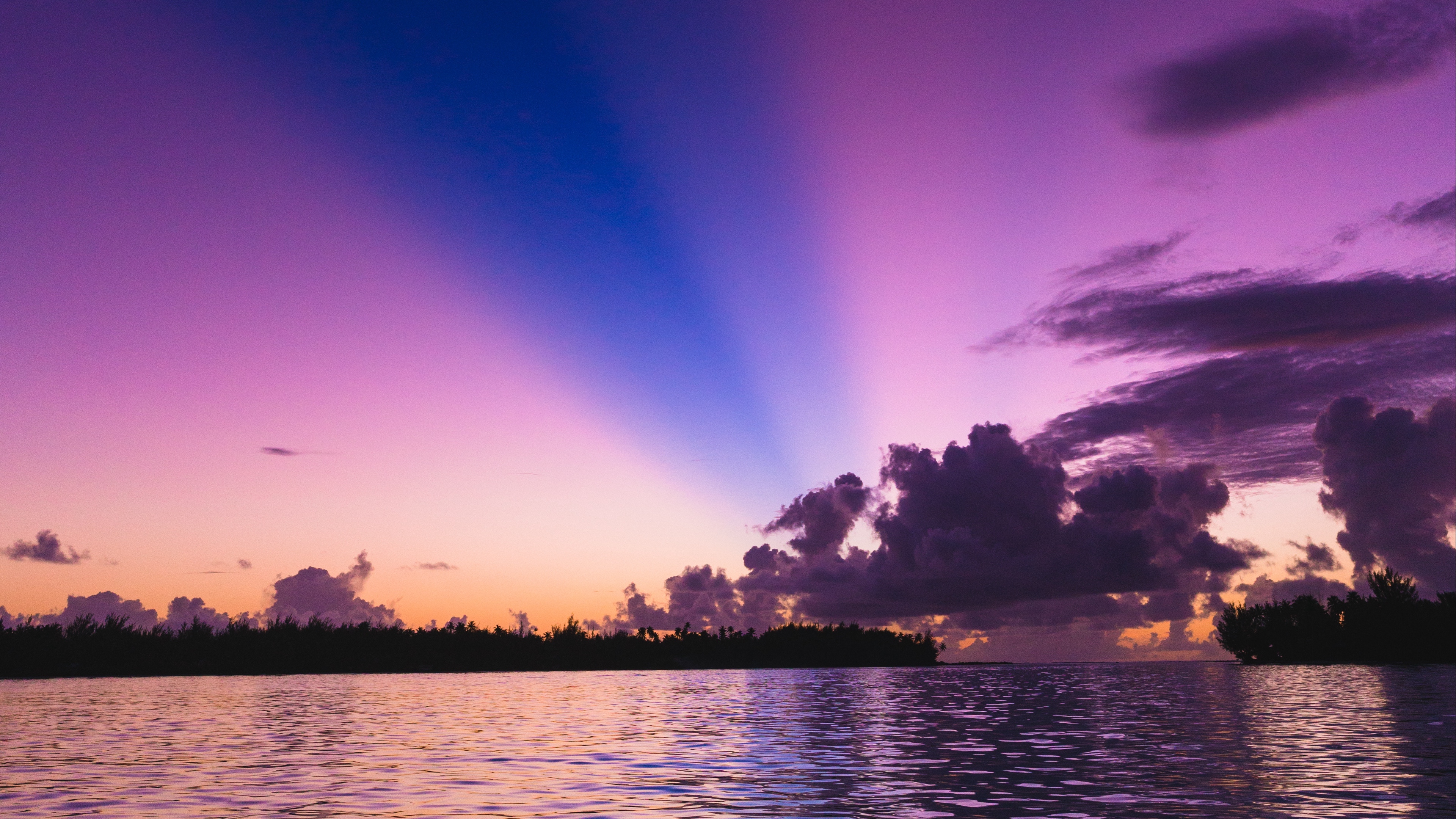 sea trees sunset sky 4k 1541117833