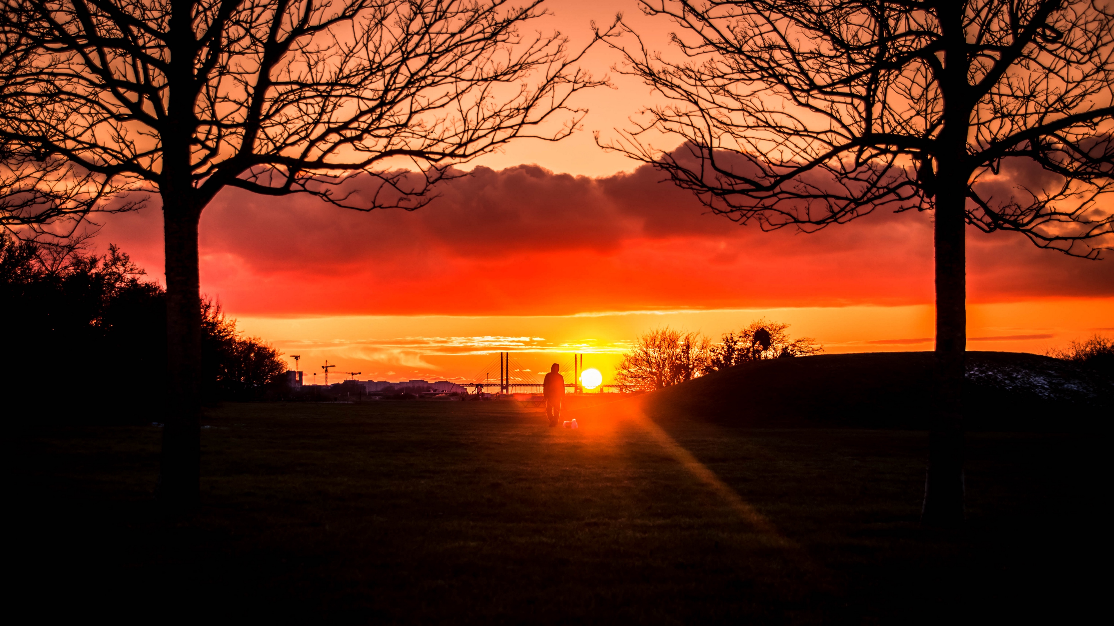 silhouette sunset alone solitude walk trees 4k 1541117203