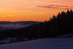 sky trees dawn snow clouds 4k 1541114153