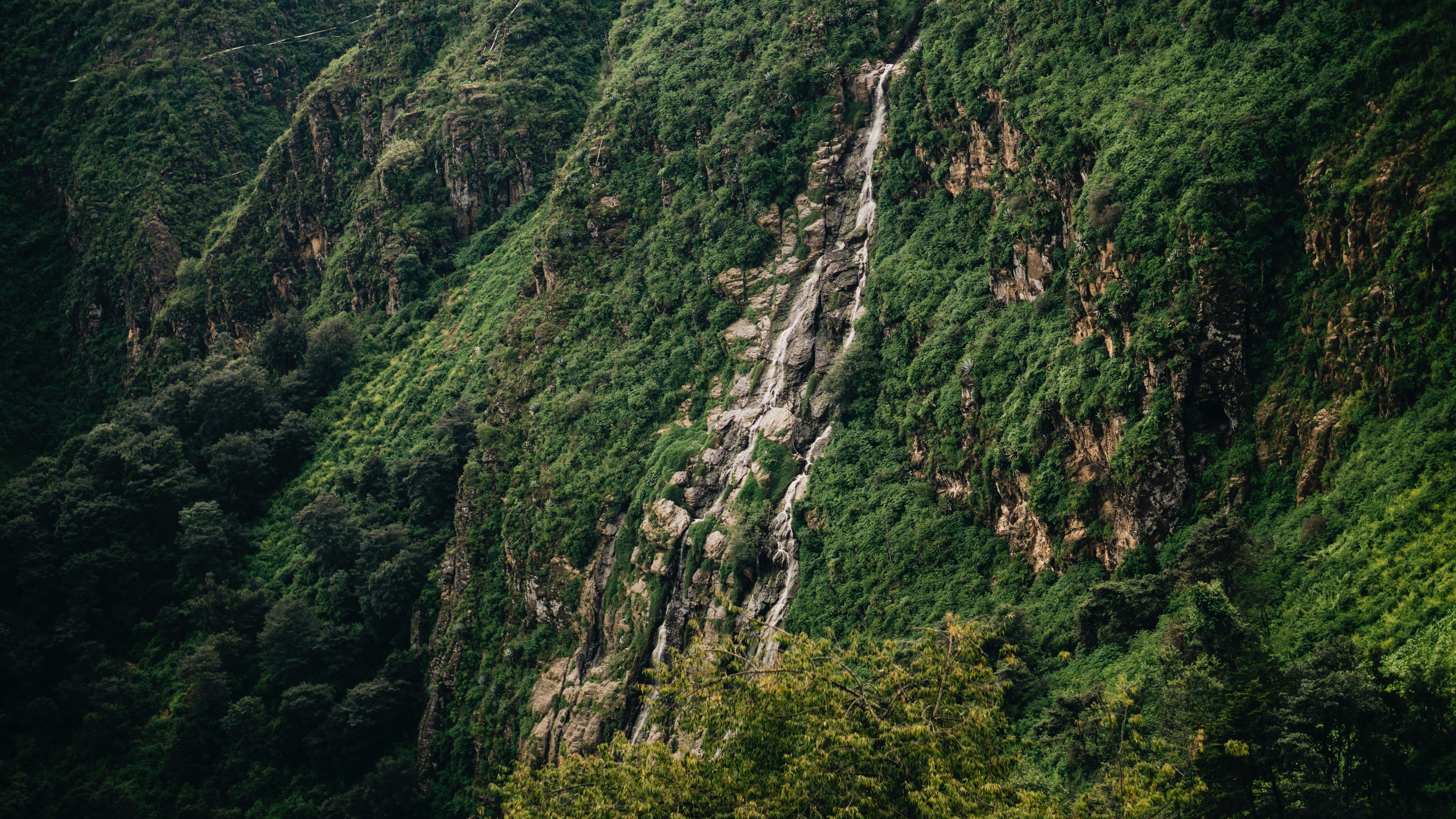 slope cliff trees green stones 4k 1541114289