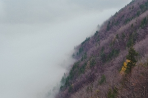 slope hill grass fog 4k 1541116165