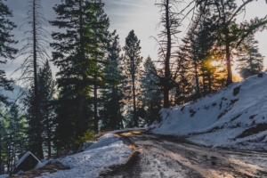 snow winter trees road 4k 1541114425