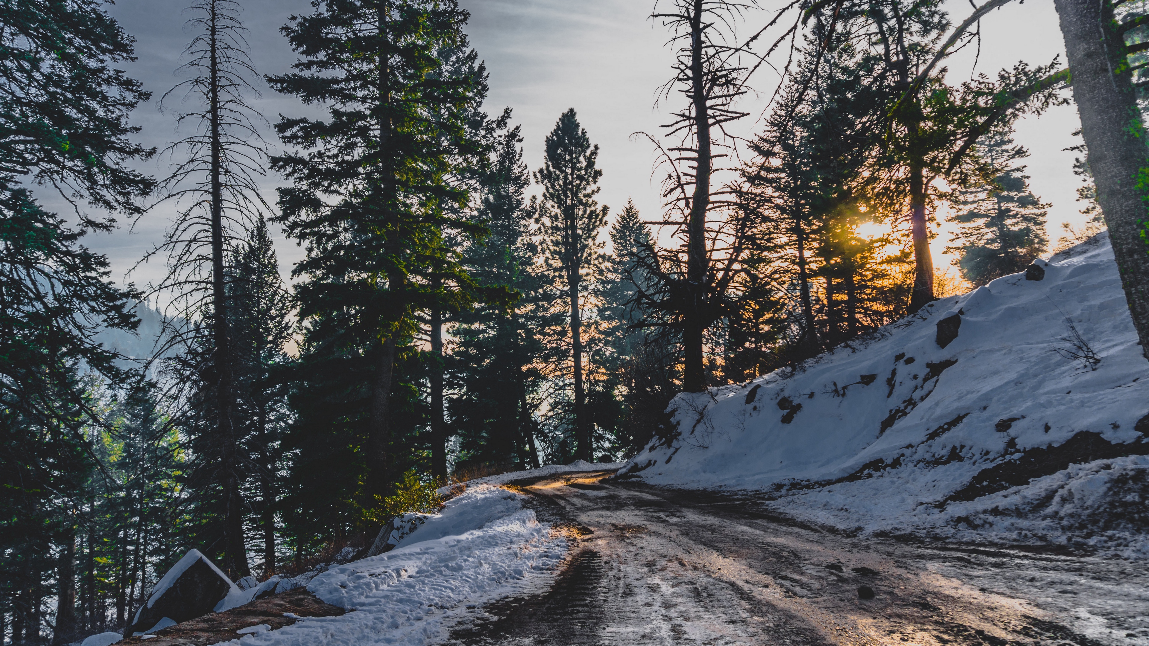 snow winter trees road 4k 1541114425