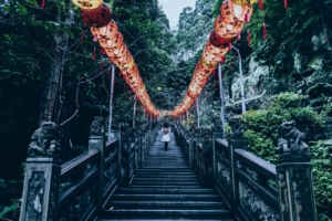 stairs chinese lanterns climb trees 4k 1541116660