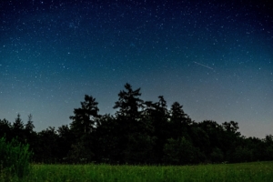 starry sky trees night field 4k 1541115460