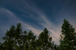 starry sky trees sky 4k 1541115097