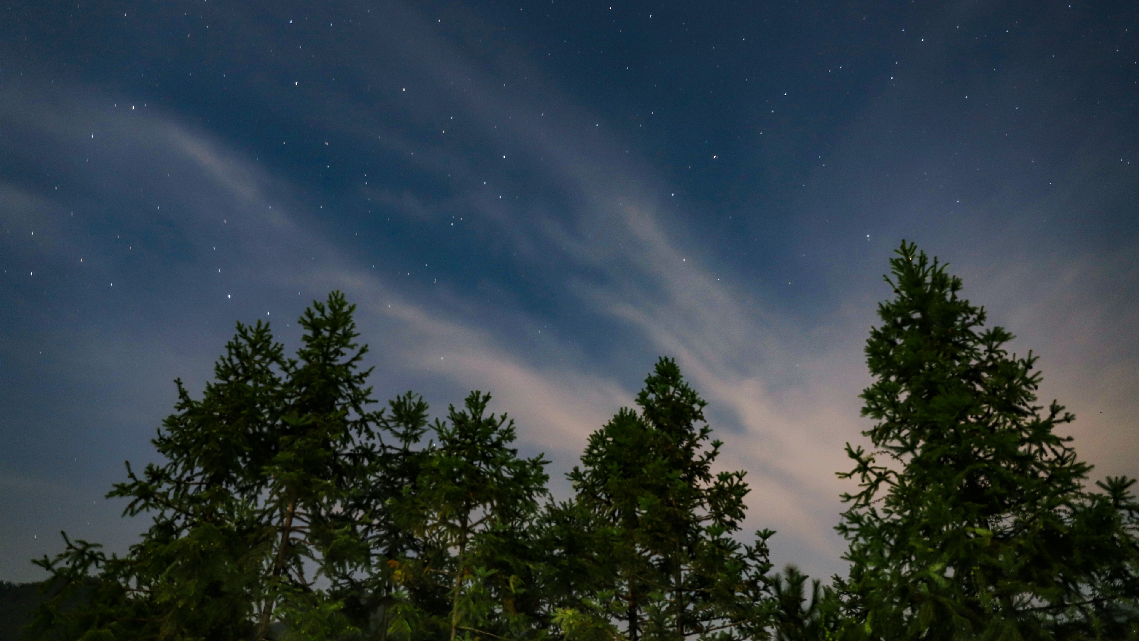 starry sky trees sky 4k 1541115097