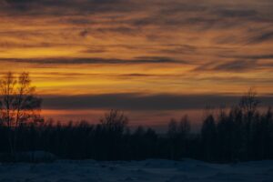 sunset trees winter snow 4k 1541114894