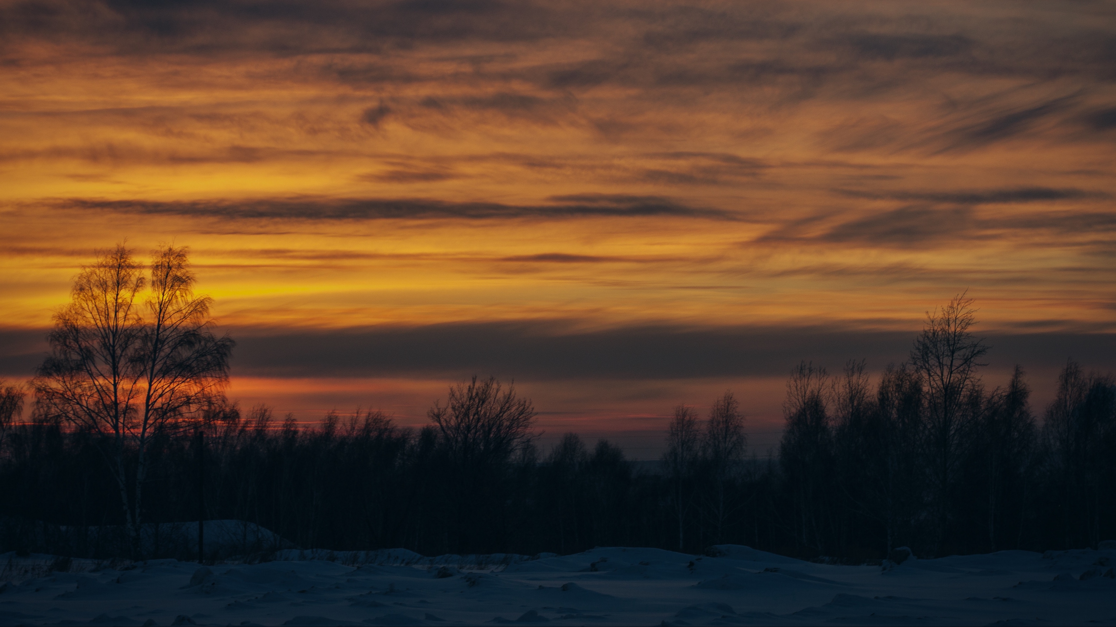 sunset trees winter snow 4k 1541114894