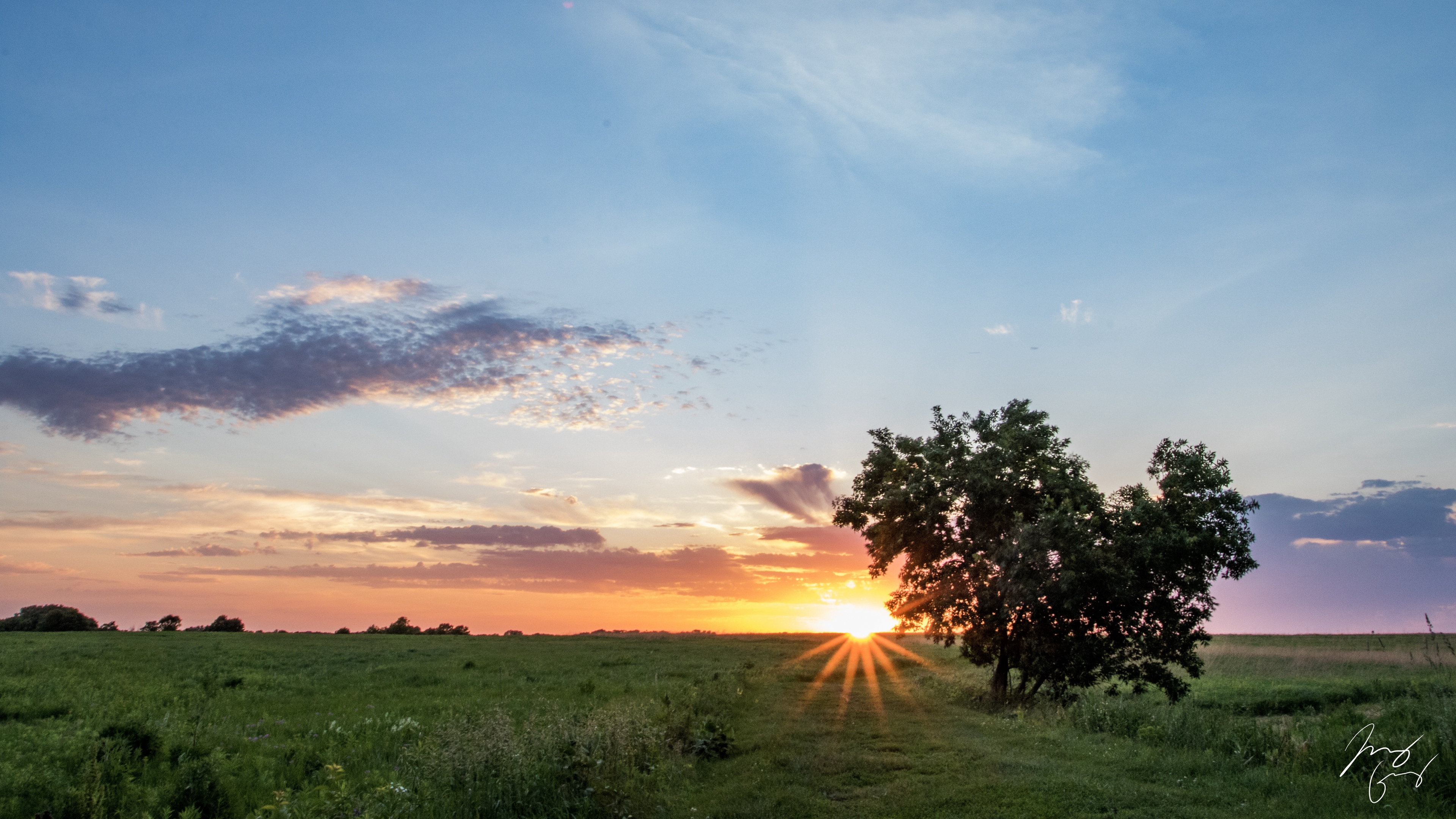 tree heart sunset field 4k 1541113471