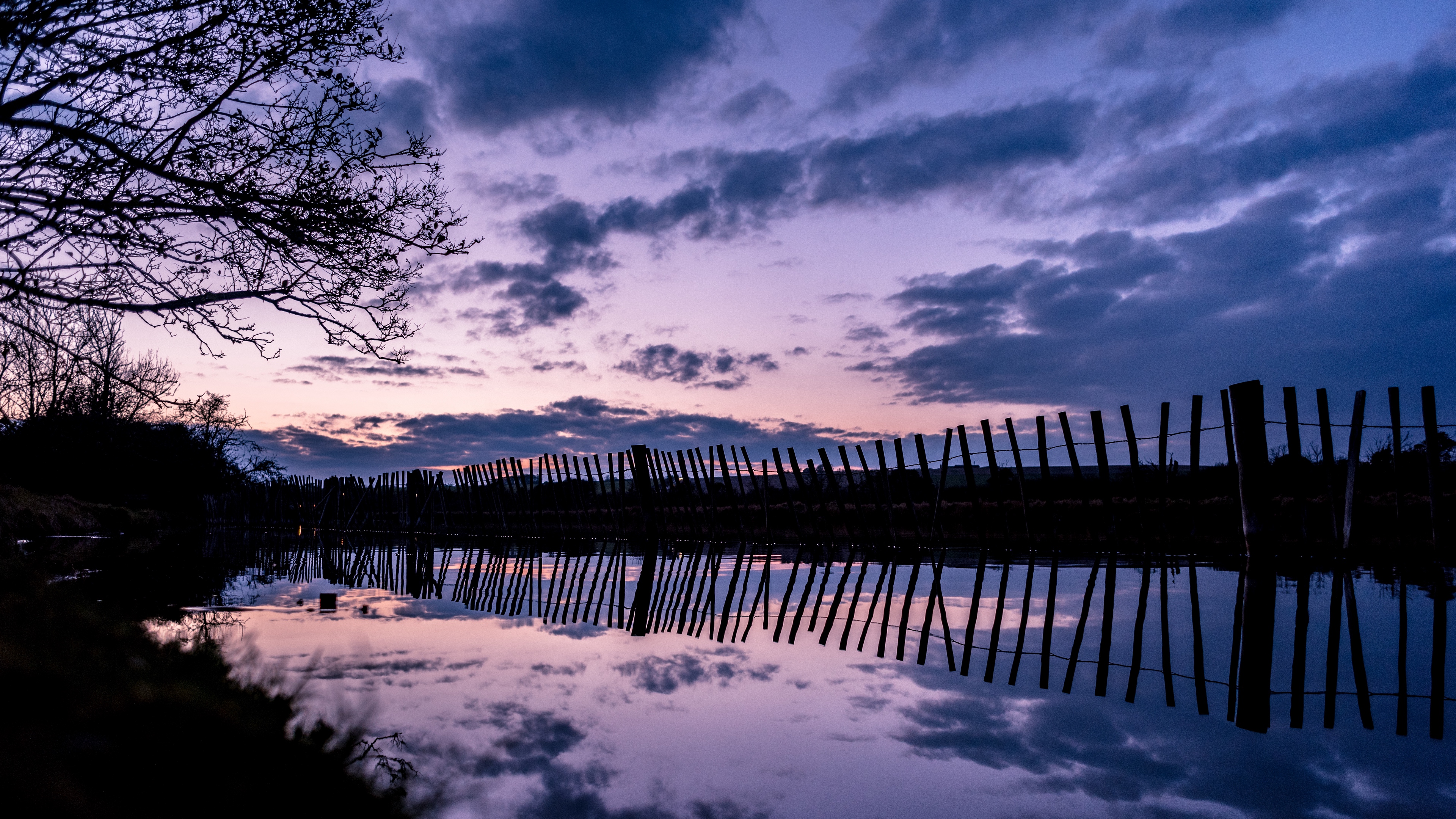 tree river fence reflection evening 4k 1541117842