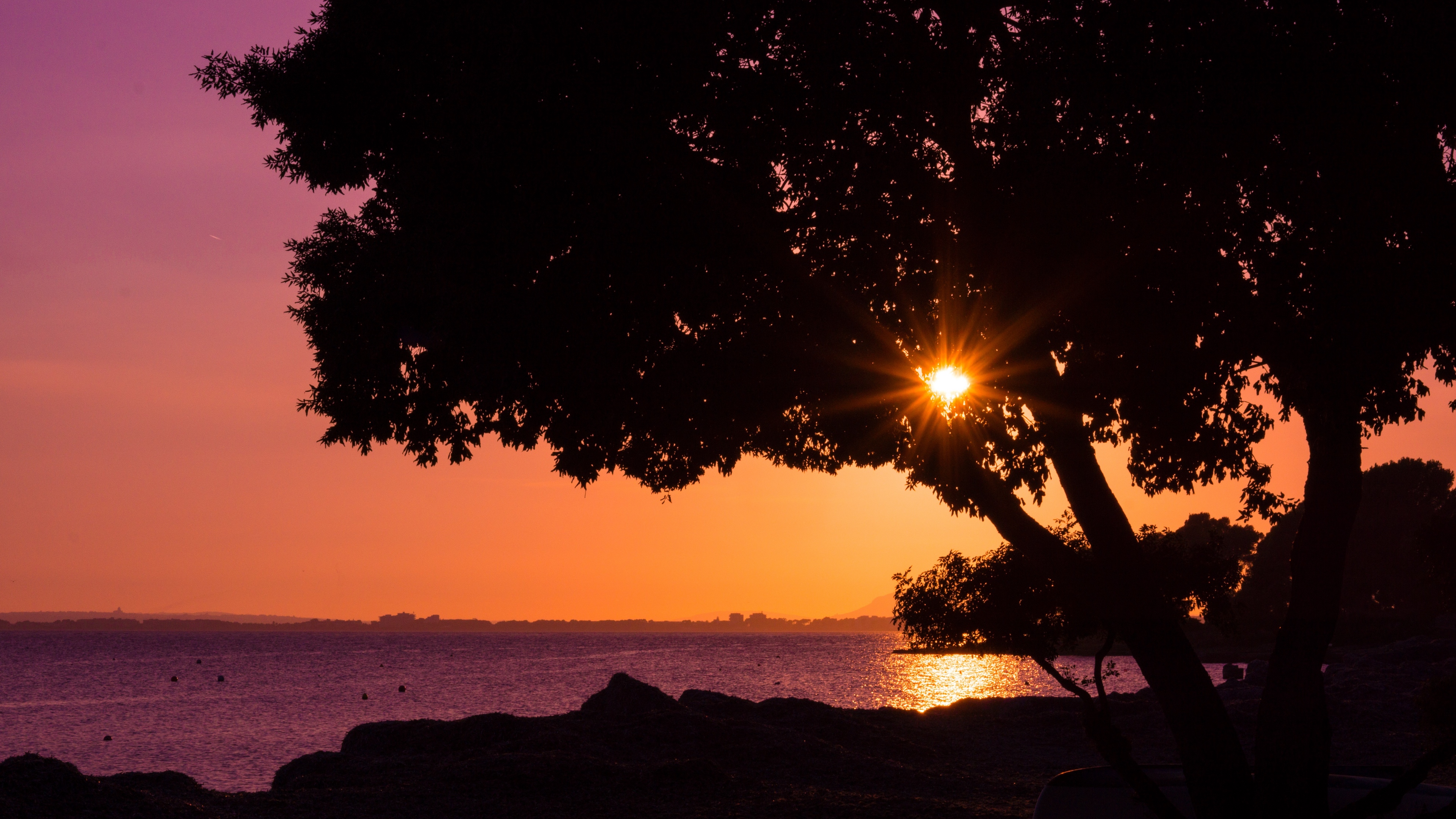 tree sunset beach 4k 1541116377