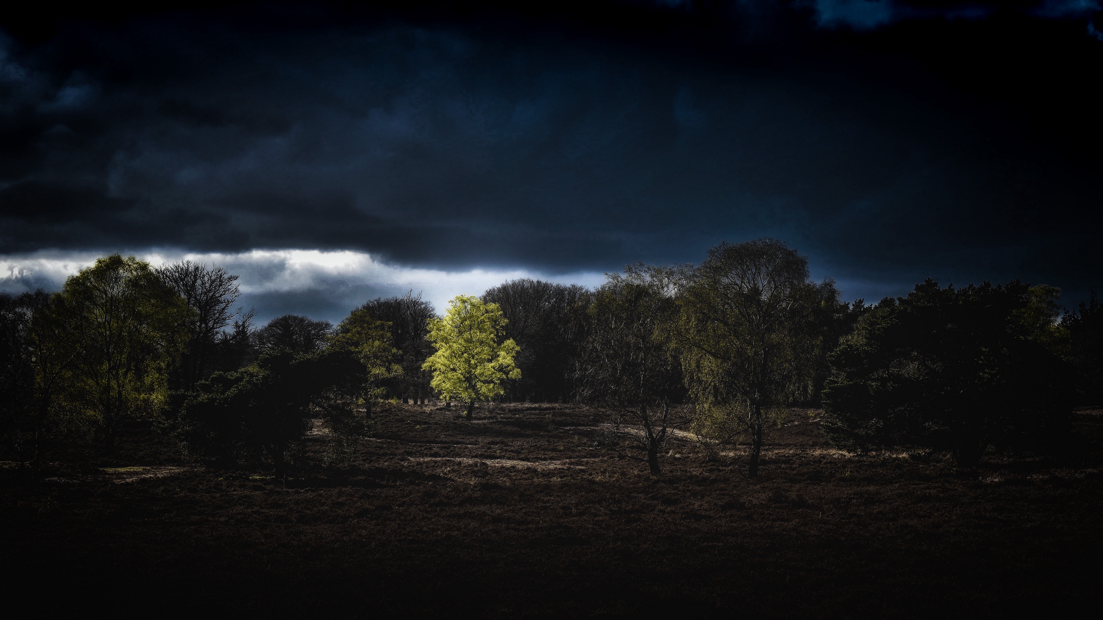 trees clouds earth night 4k 1541116467