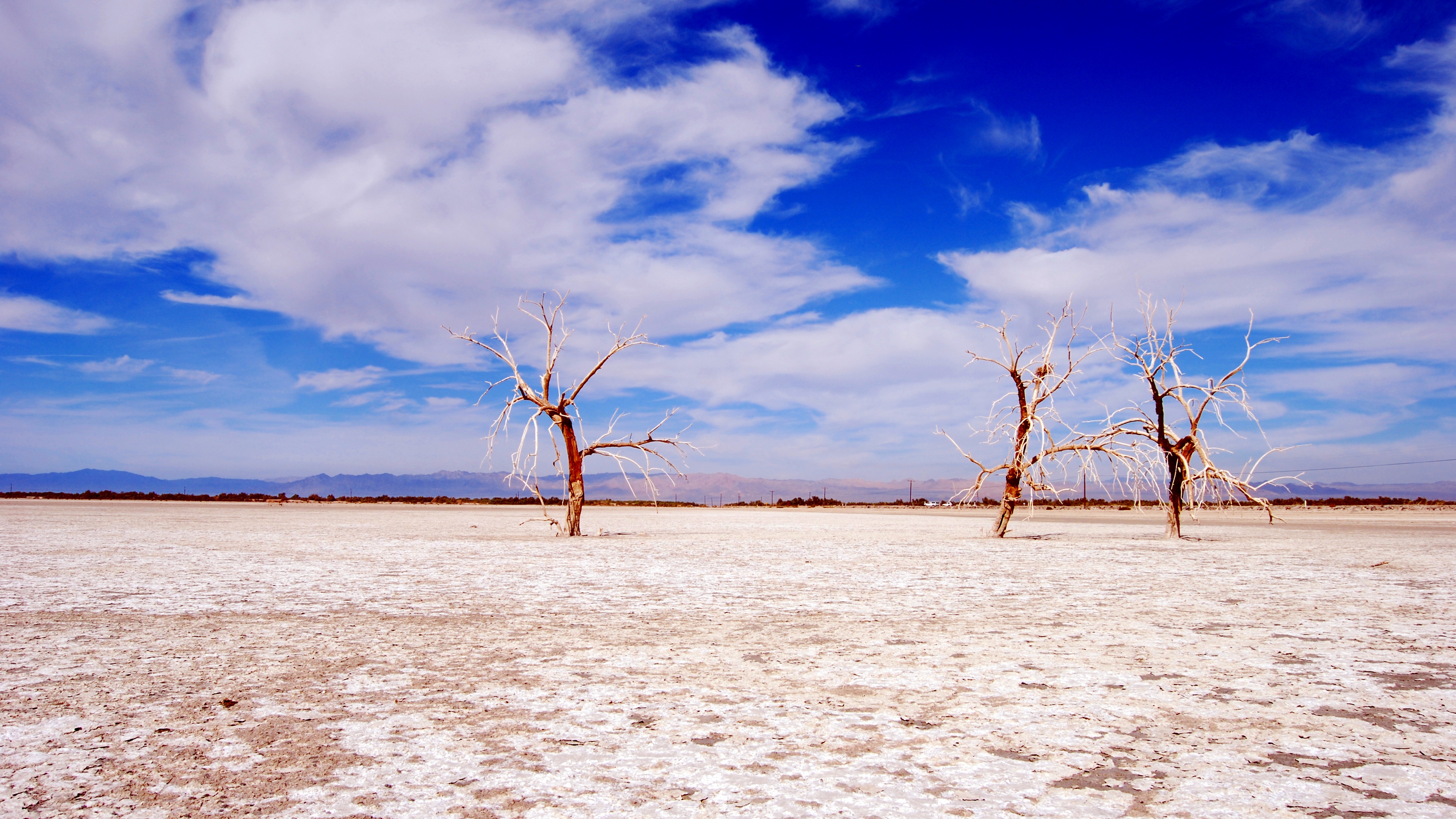 trees desert branches sky clouds dry lake 4k 1541117293