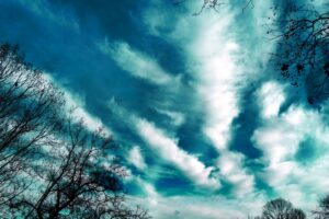 trees evening sky clouds 4k 1541117470