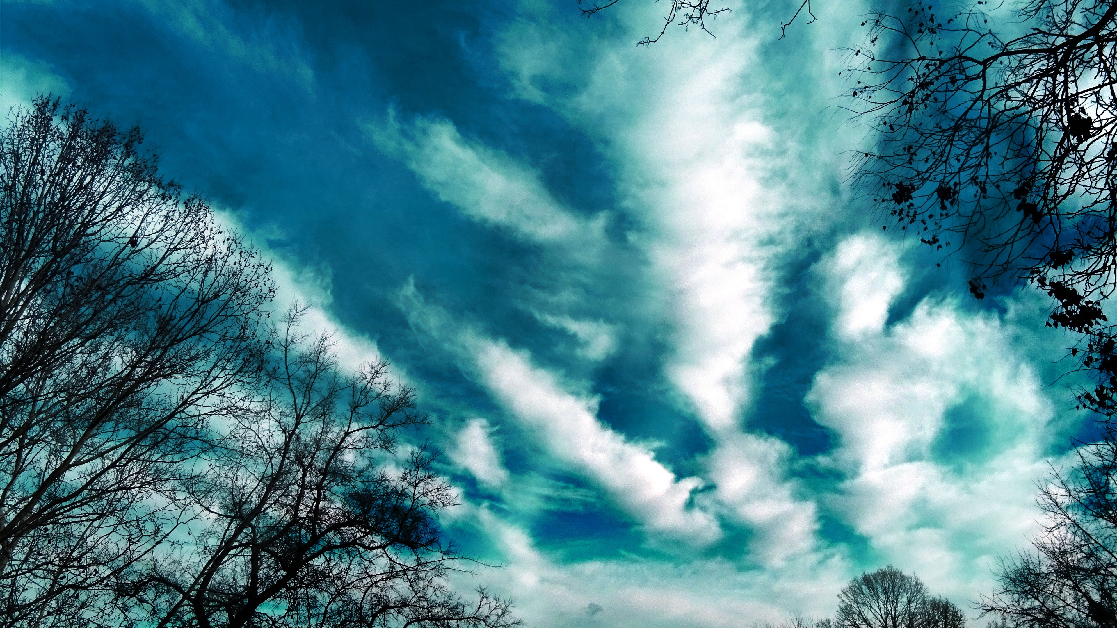 trees evening sky clouds 4k 1541117470