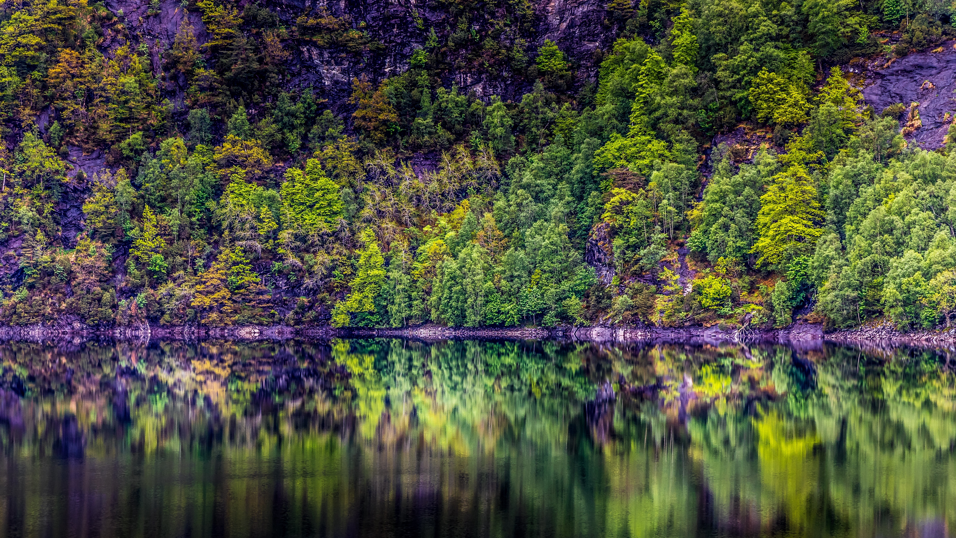 trees lake reflection forest 4k 1541115578