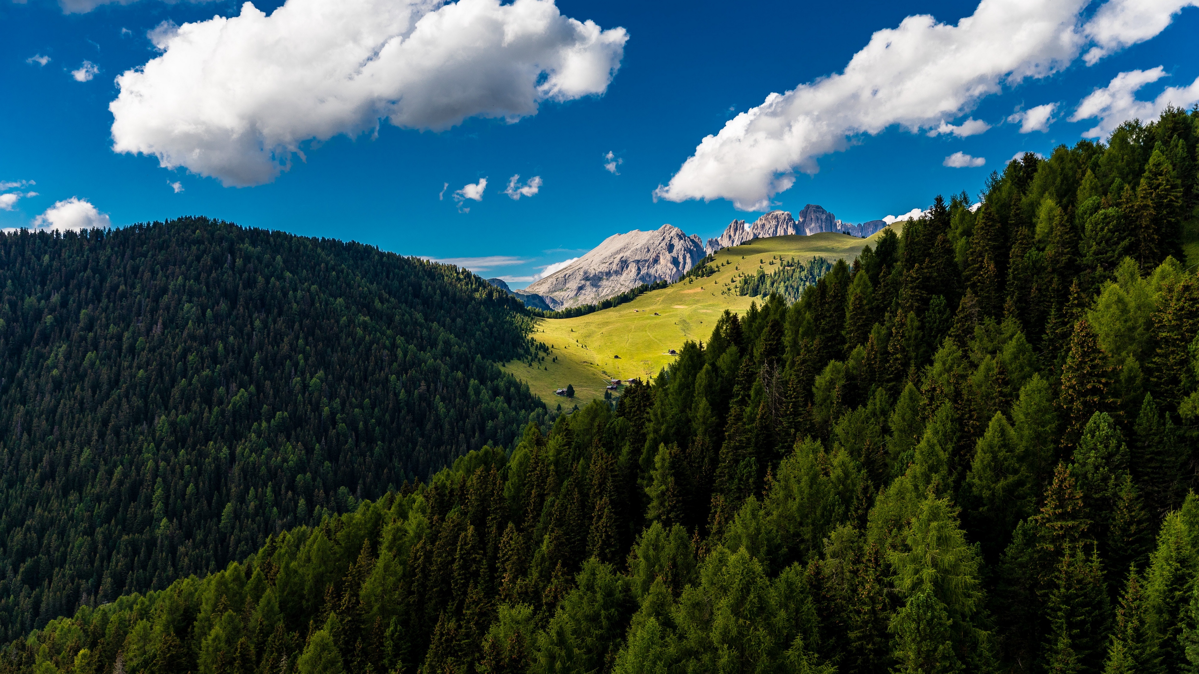 trees mountains clouds summer 4k 1541114085