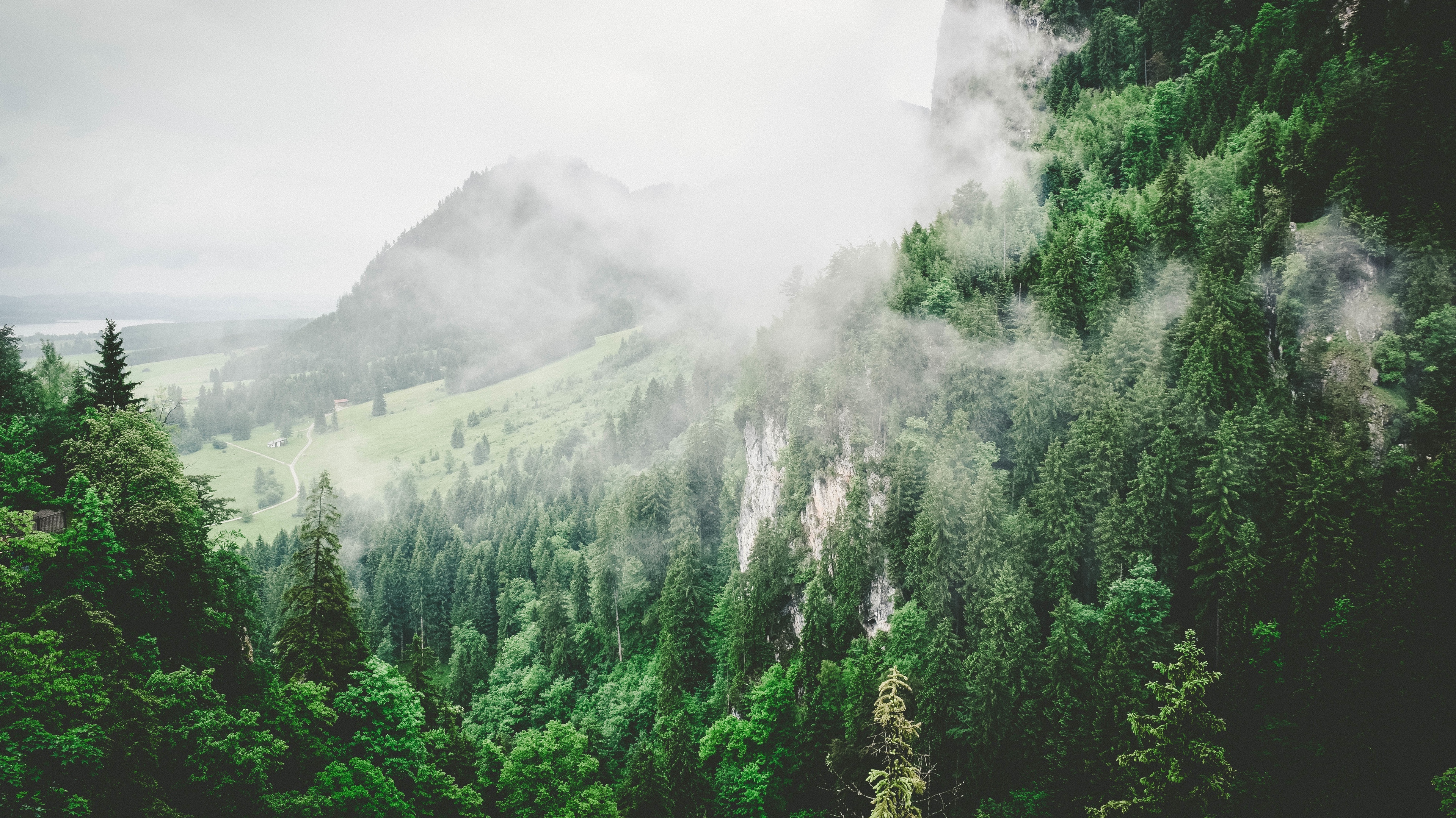 trees mountains fog summer 4k 1541116424