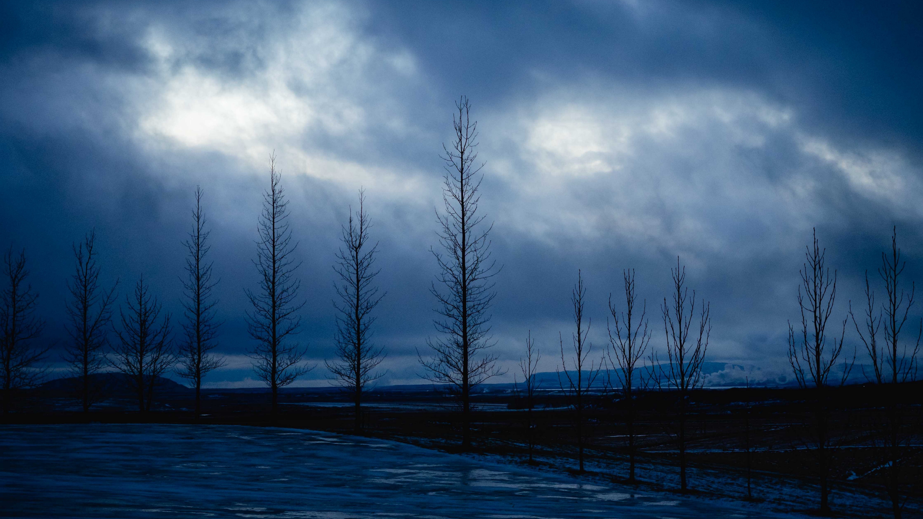 Trees, Night, Sky, Branches 4K Trees, Sky, Night